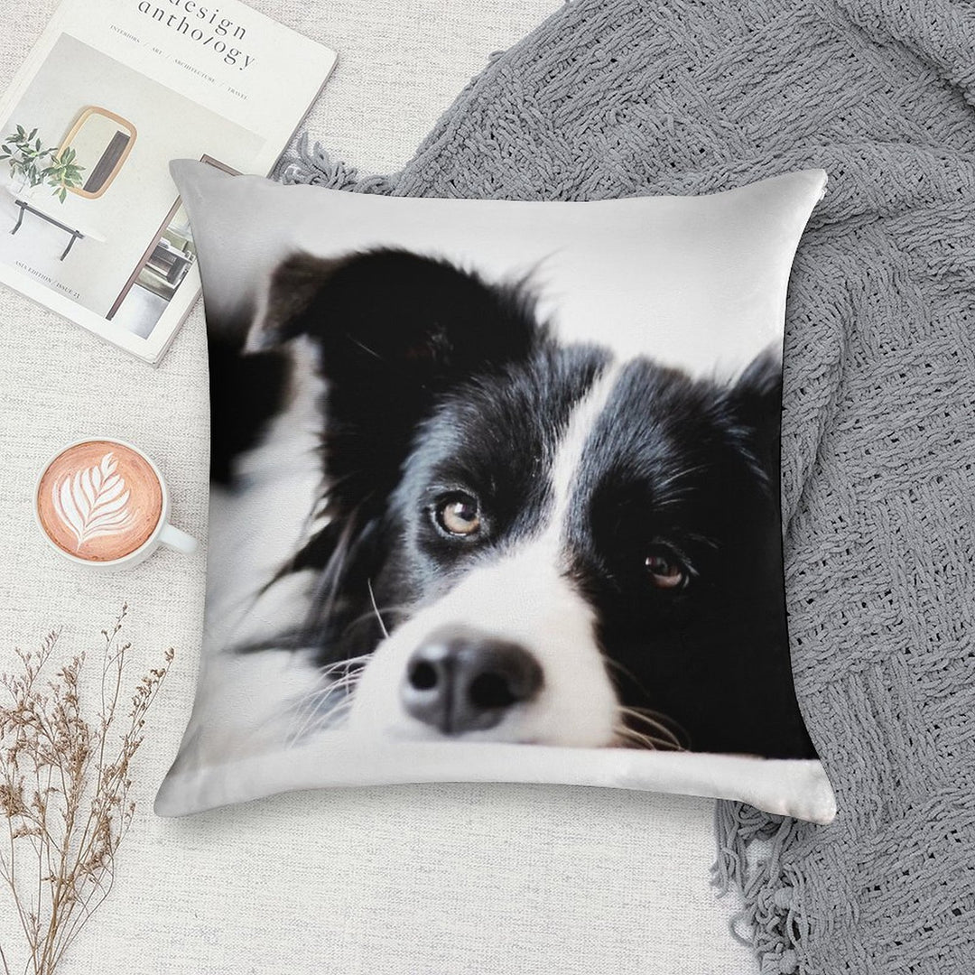 Border Collie Soft Short Plush Fabric Throw Pillow
