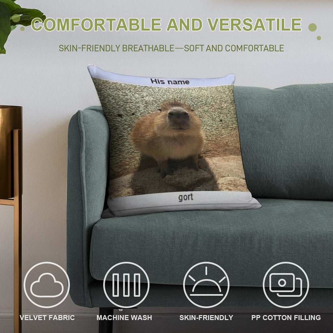 Gort Soft Hidden Zipper Throw Pillow