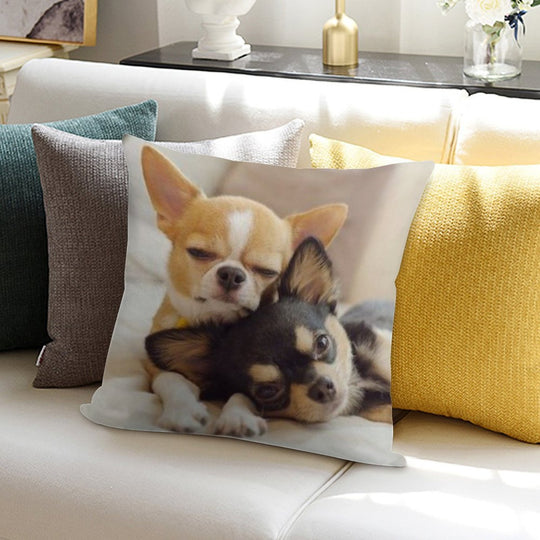 Two Cute Chihuahua Puppies Photograph Soft Easy Maintenance Throw Pillow