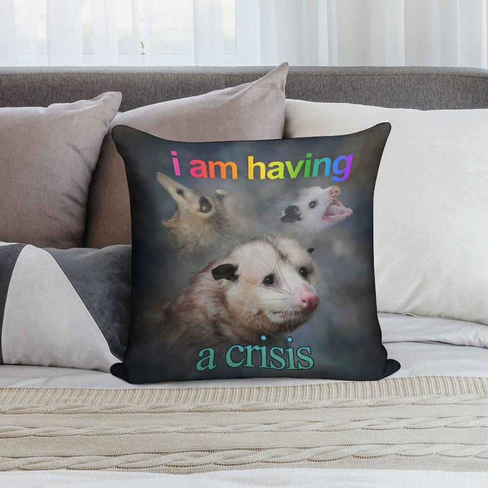 I Am Having A Crisis Possum Word Art Soft Bedroom Essential Throw Pillow