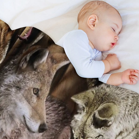 Coyotes Velvety-soft Throw Blanket