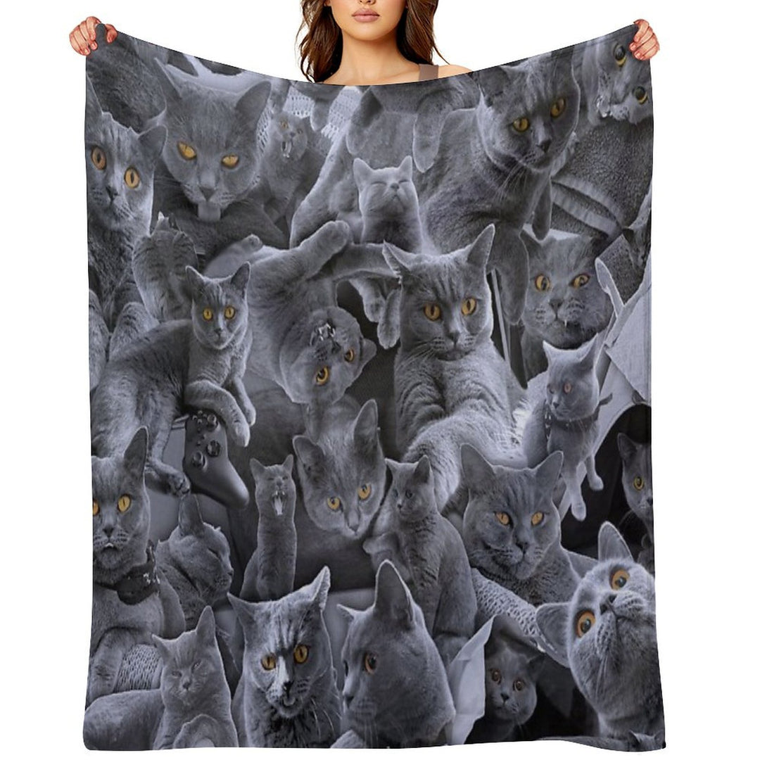 British Shorthair Cat Collage Anti-pilling Throw Blanket