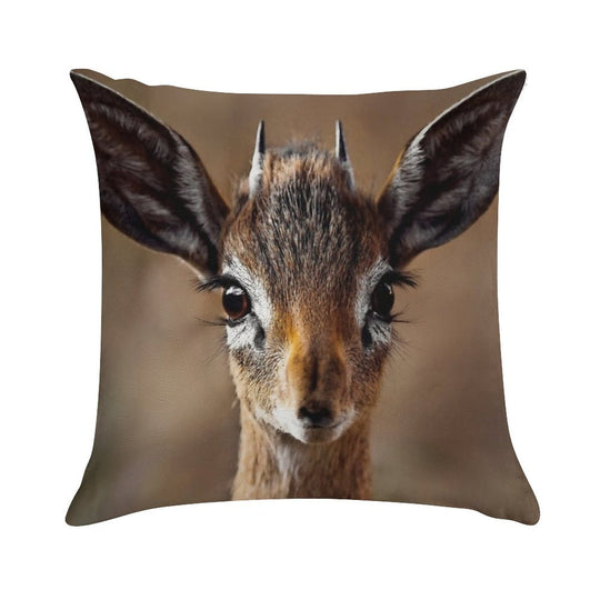 Dik Dik- Smallst Antelope of South Africa Soft Easy Maintenance Throw Pillow