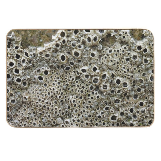 Barnacles  Dirt-Trapping Bath Mat