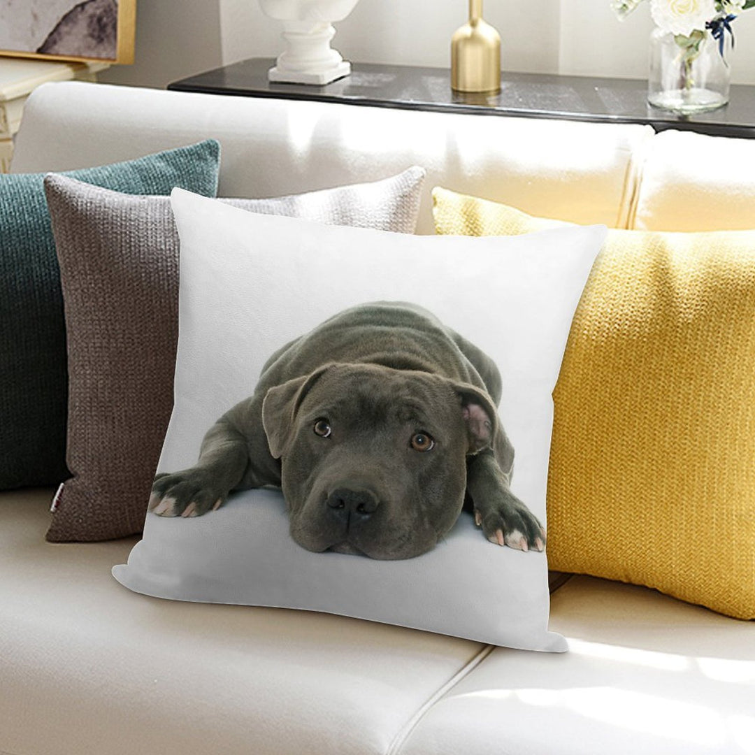 Blue Staffordshire Bull Terrier Super Cute Puppy Eyes Soft Luxury Feel Throw Pillow