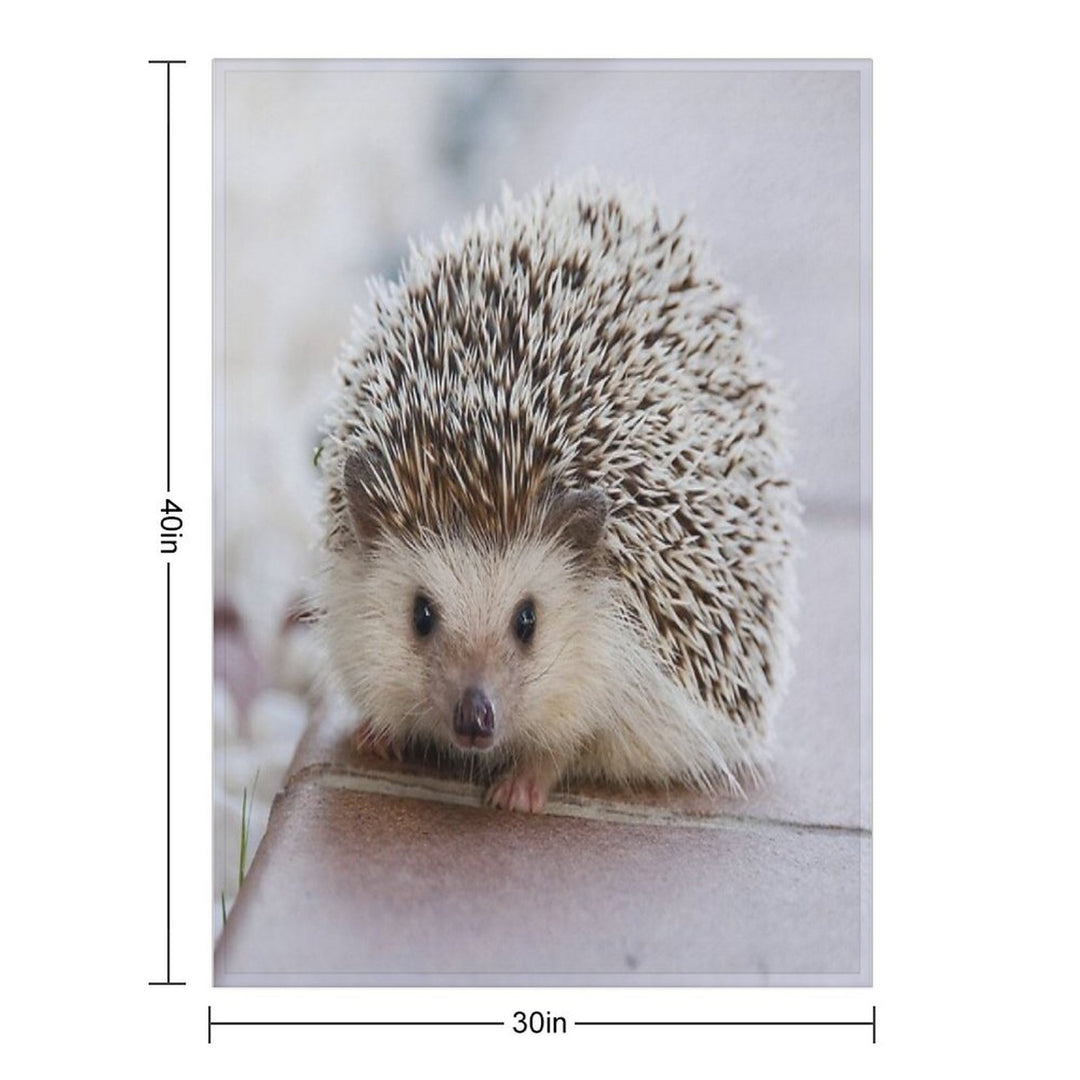 Hedgehog Comfort Throw Blanket