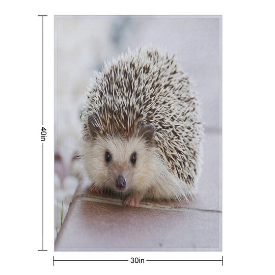 Hedgehog Comfort Throw Blanket