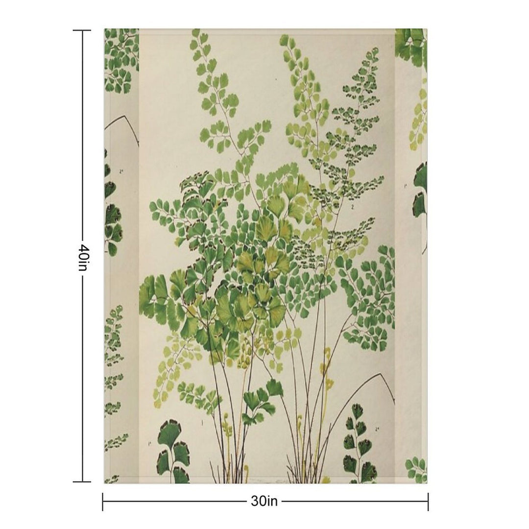 Maidenhair Ferns All-season Throw Blanket