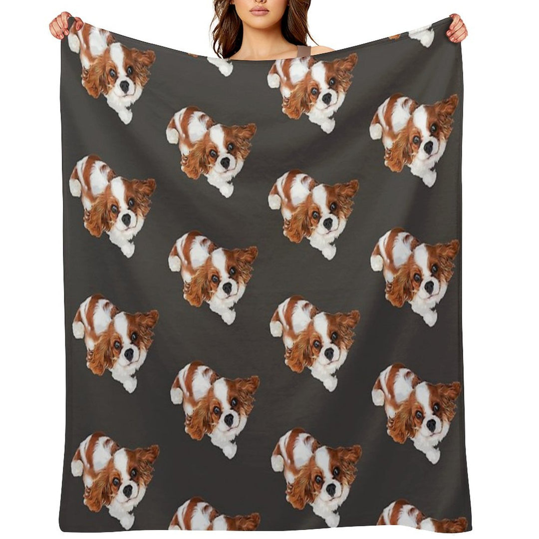 Cavalier King Charles Spaniel Looking Up Comfort Throw Blanket