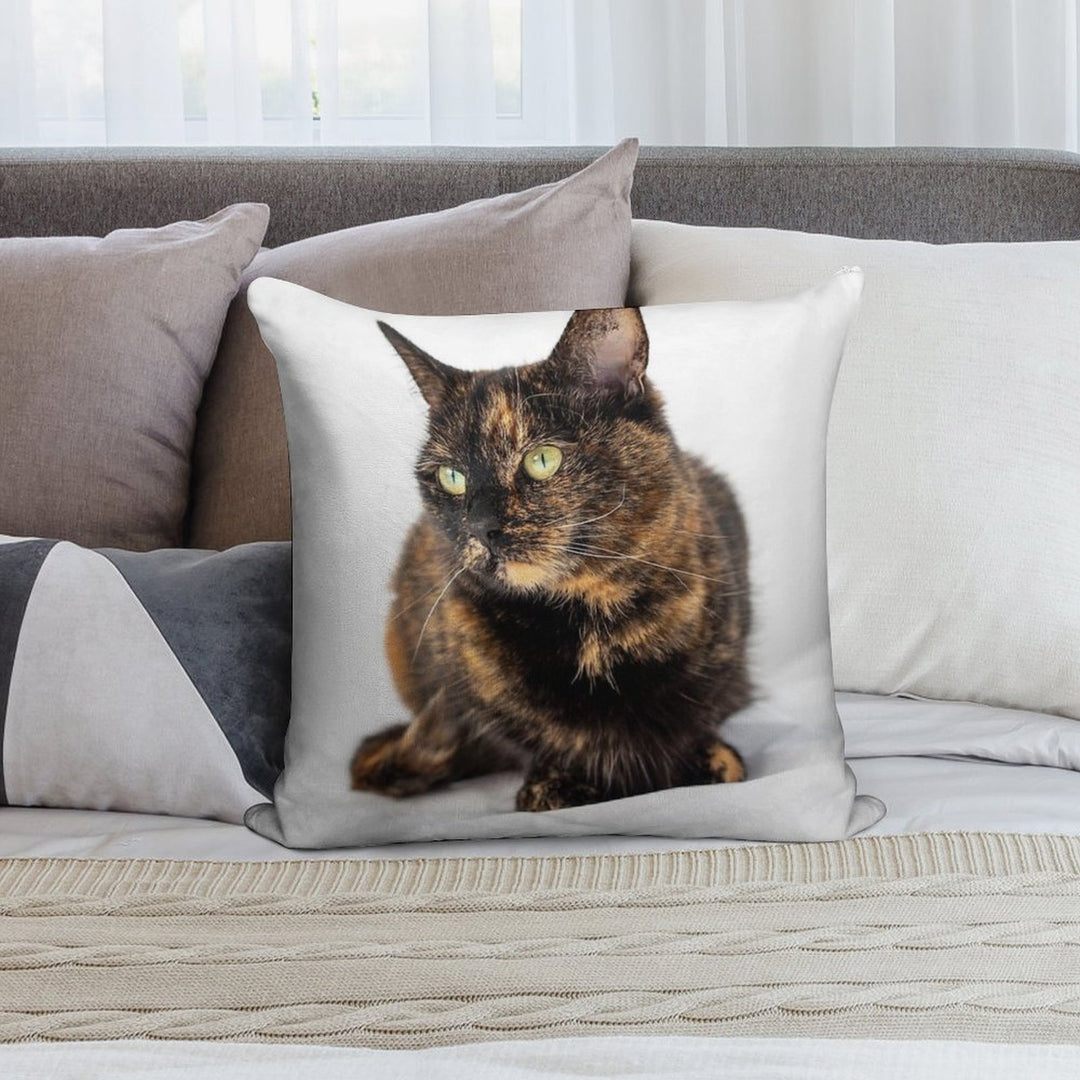 Tortoiseshell Cat Soft Decorative Cover Throw Pillow