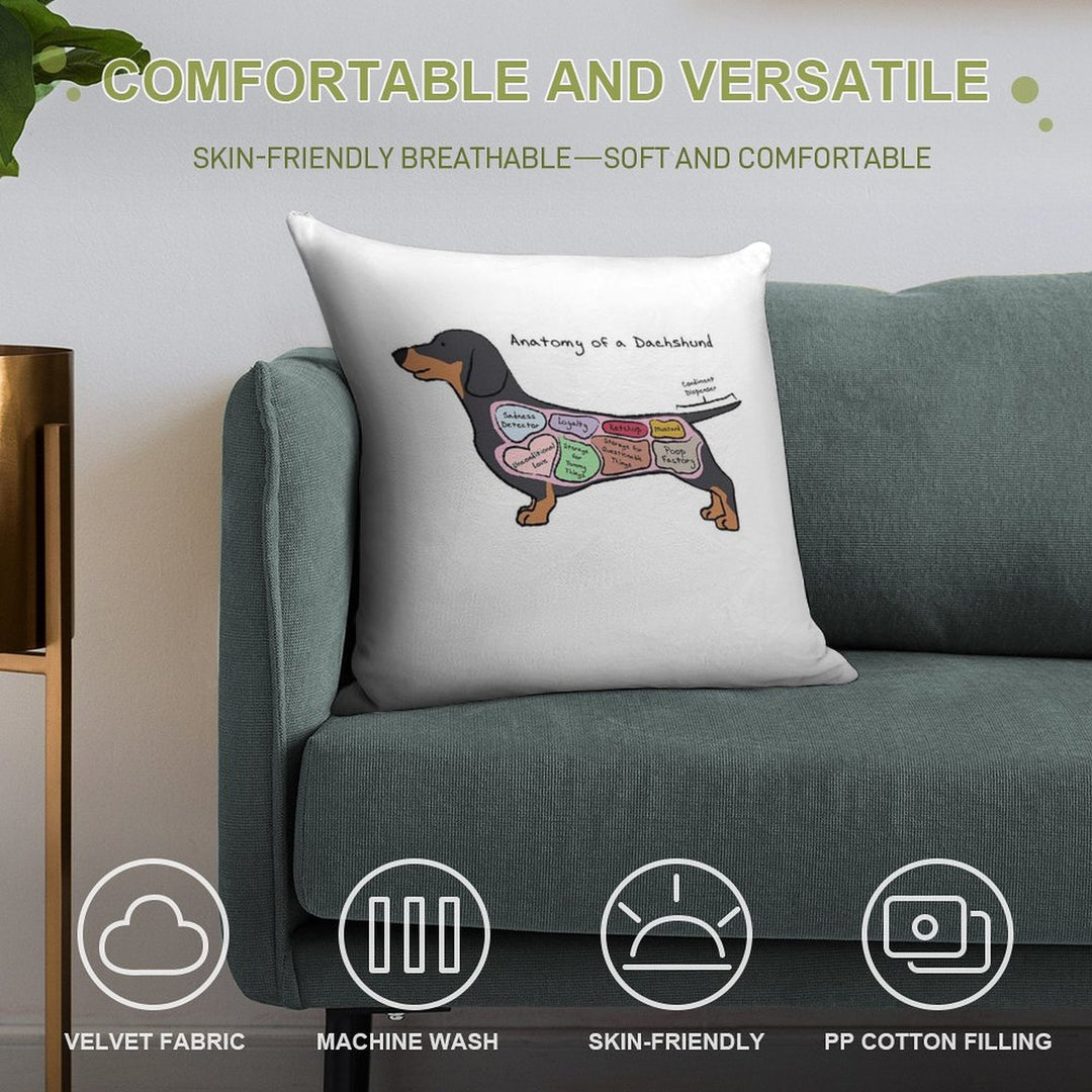 Anatomy of A Dachshund Soft Easy Maintenance Throw Pillow