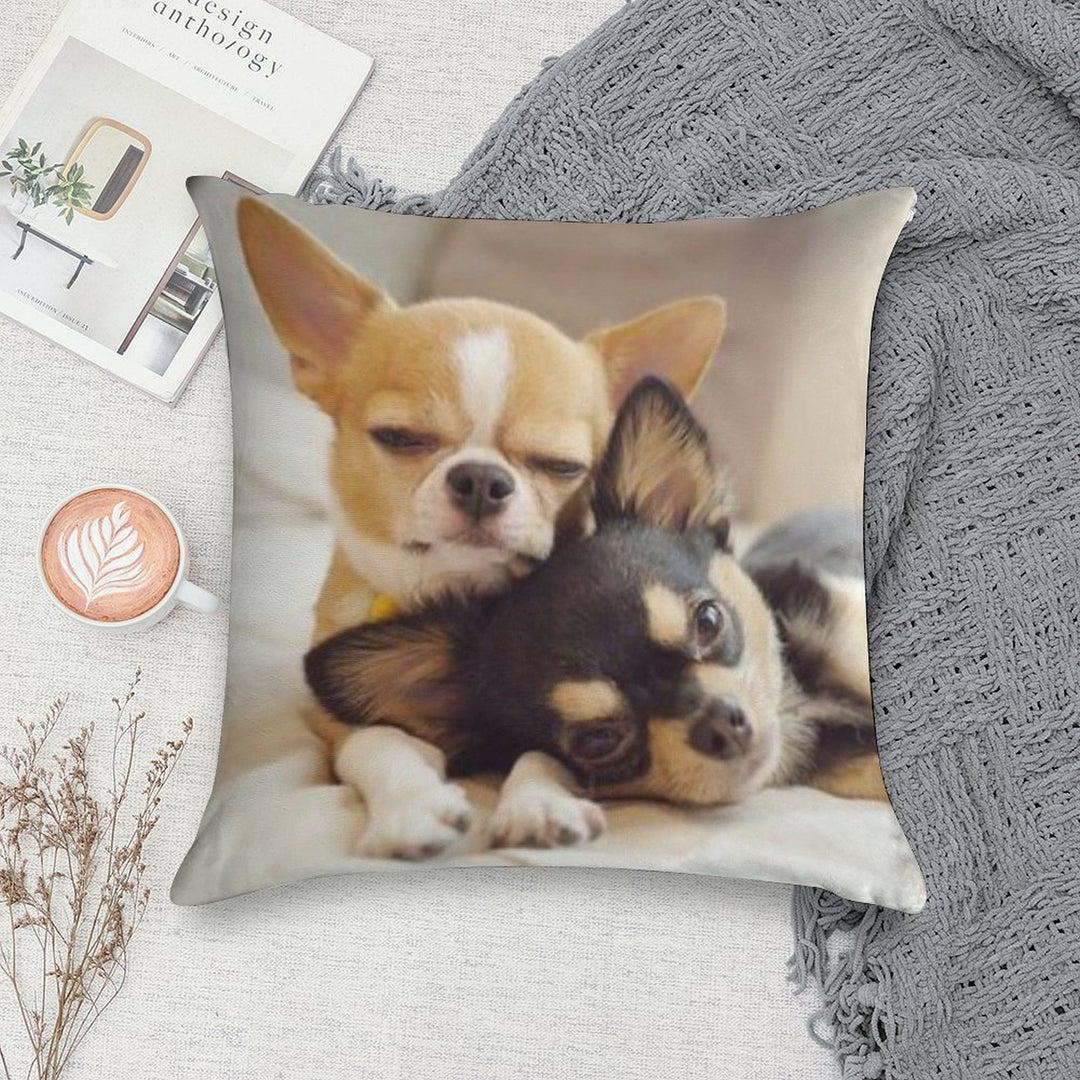 Two Cute Chihuahua Puppies Photograph Soft Easy Maintenance Throw Pillow