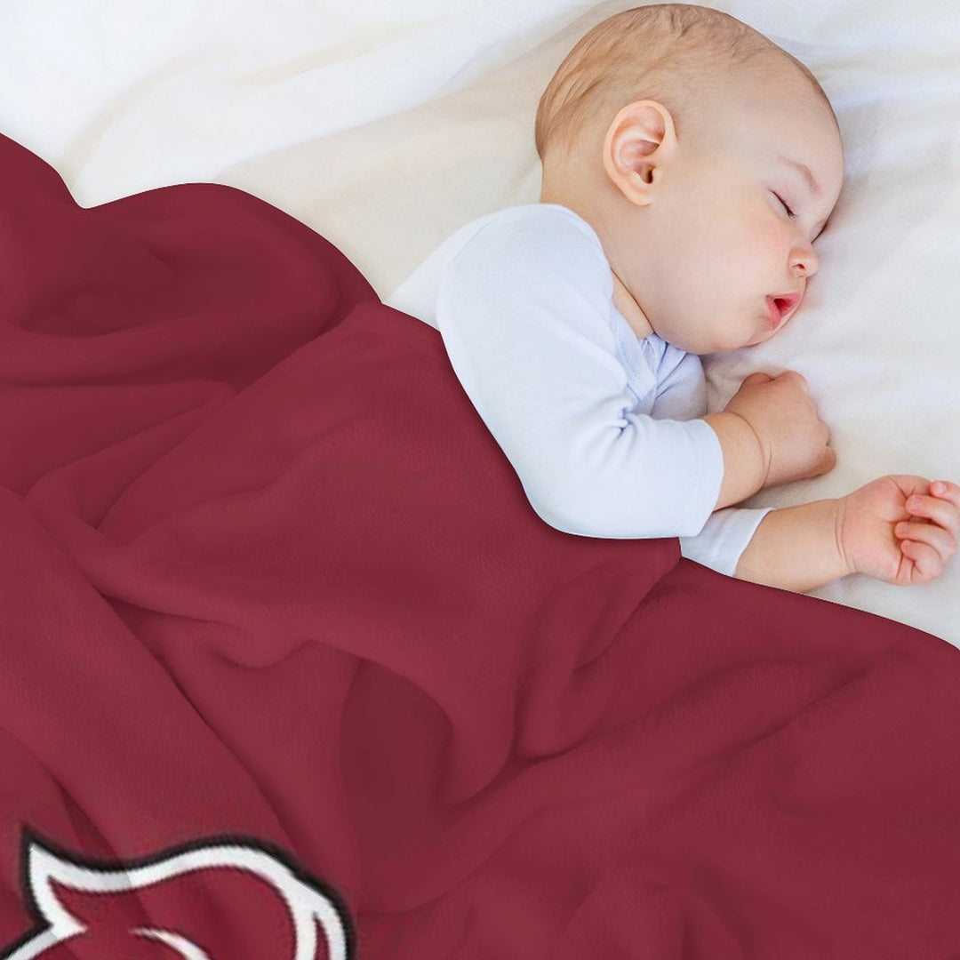 Knight Calvin Grand Rapids All-season Throw Blanket