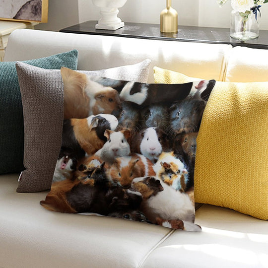 Guinea Pigs Soft High-Density Material Throw Pillow