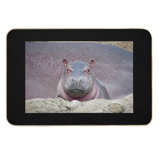 Baby Hippo Fritz at The Cincinnati Zoo  Easy Maintenance Bath Mat