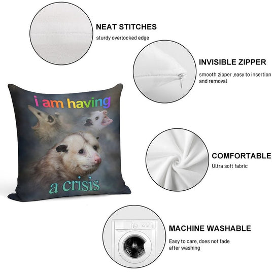 I Am Having A Crisis Possum Word Art Soft Bedroom Essential Throw Pillow