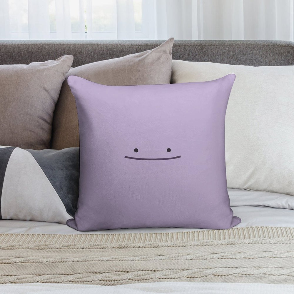 Ditto Soft Hidden Zipper Throw Pillow