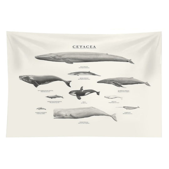 Cetacea Tapestry