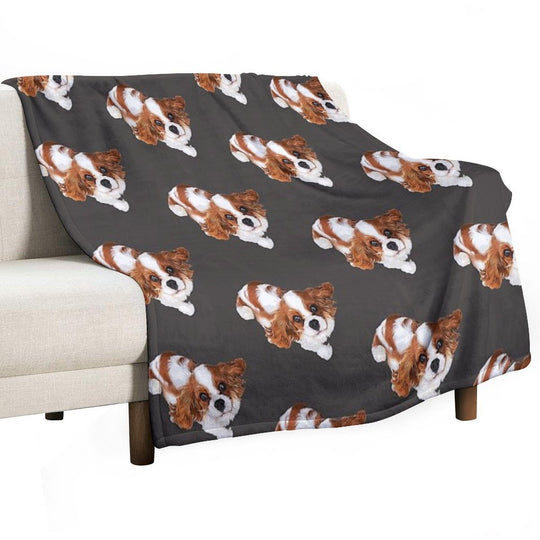 Cavalier King Charles Spaniel Looking Up Comfort Throw Blanket