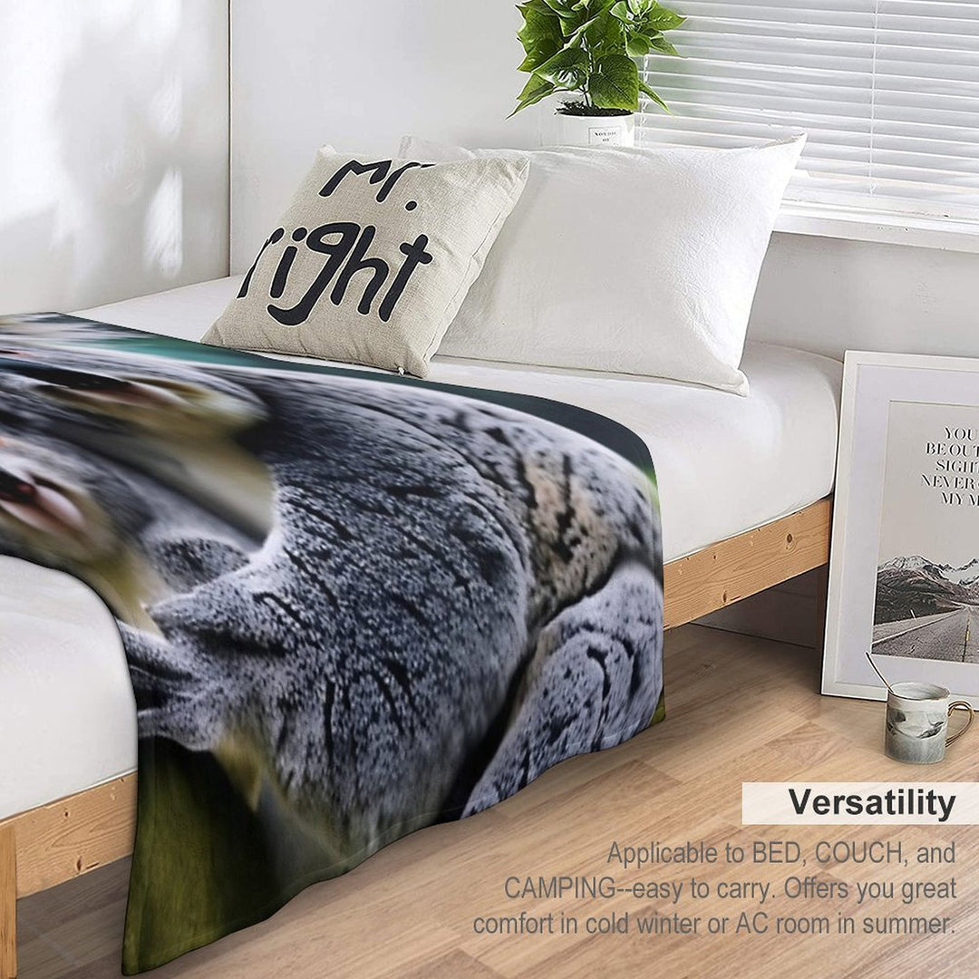Australian Koala Family Anti-pilling Throw Blanket