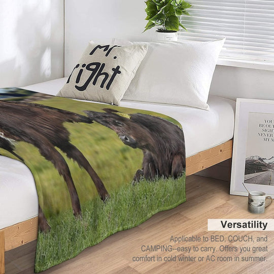 Belted Galloway Lightweight Throw Blanket