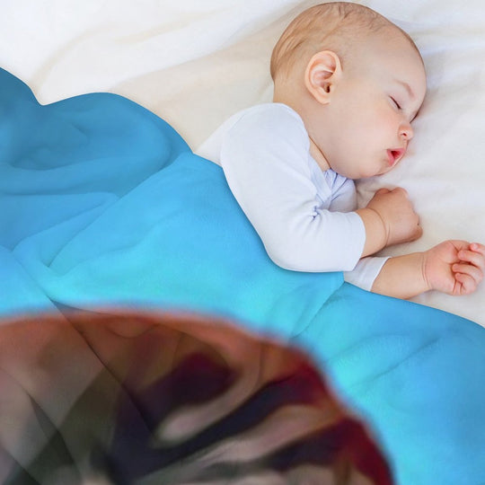 Sleepy Long Haired Brown Dachshund Plush Throw Blanket