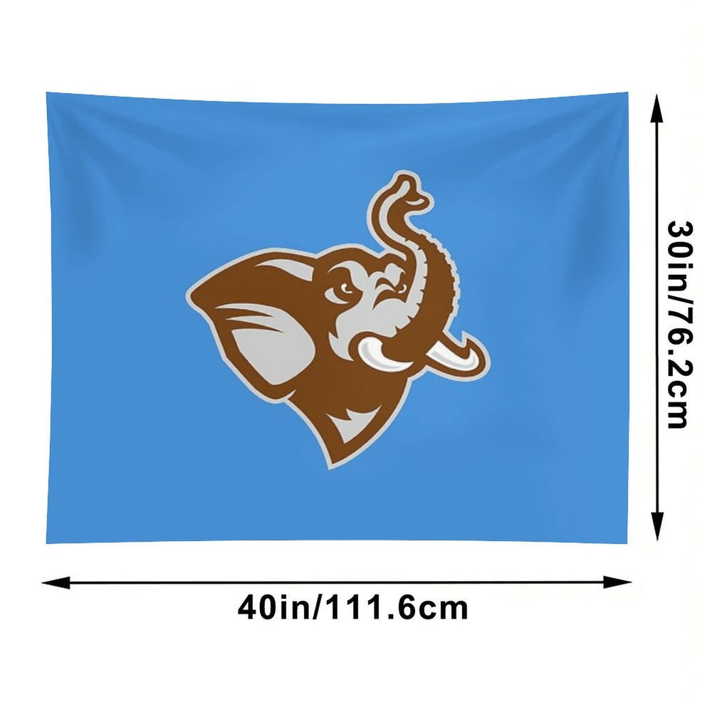 Tufts University Tapestry