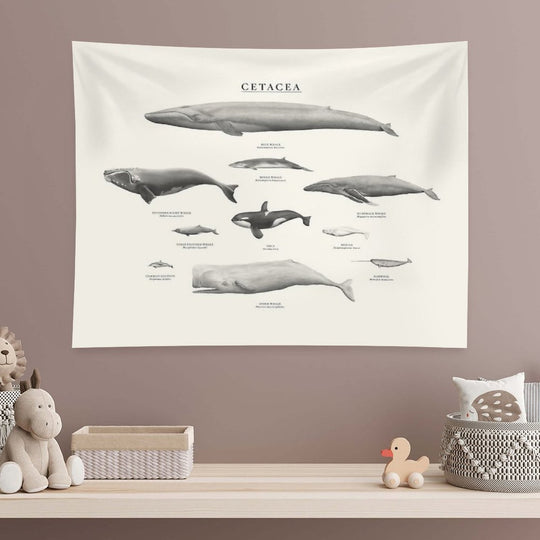 Cetacea Tapestry