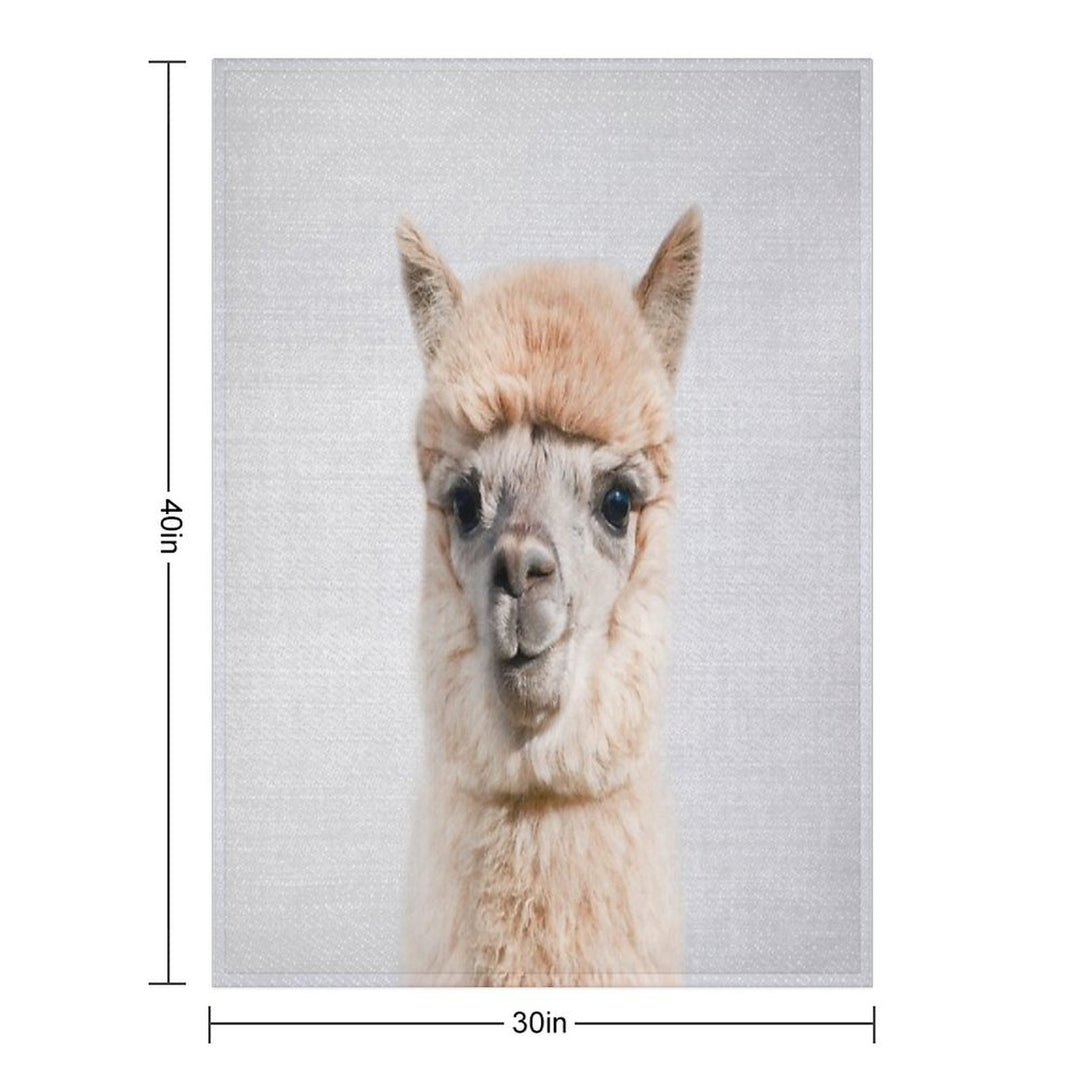 Alpaca - Colorful Sustainable Throw Blanket