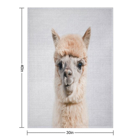 Alpaca - Colorful Sustainable Throw Blanket