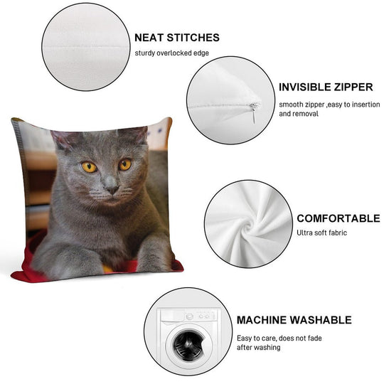 Chartreux Cat Portrait with Golden Eyes Soft Luxury Feel Throw Pillow