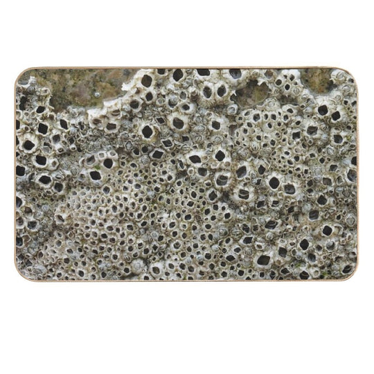 Barnacles  Dirt-Trapping Bath Mat