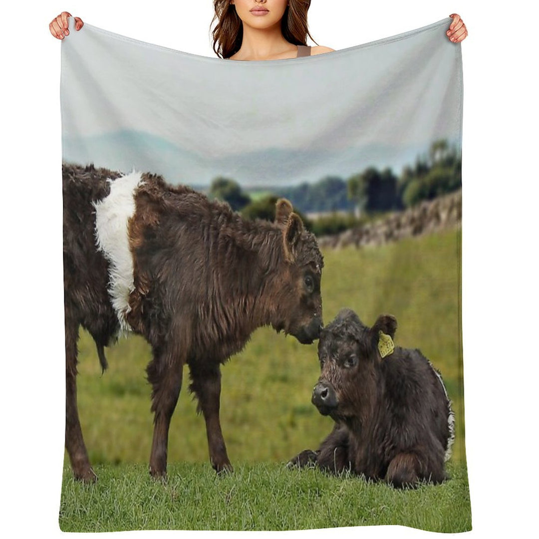 Belted Galloway Lightweight Throw Blanket