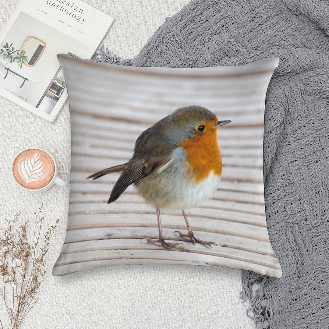Robin Soft Fade-Resistant Throw Pillow