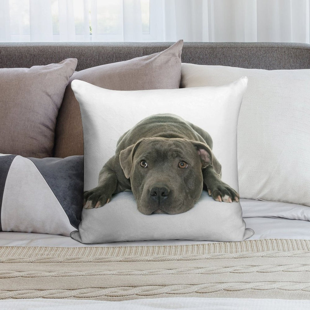 Blue Staffordshire Bull Terrier Super Cute Puppy Eyes Soft Luxury Feel Throw Pillow