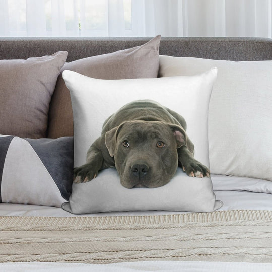 Blue Staffordshire Bull Terrier Super Cute Puppy Eyes Soft Luxury Feel Throw Pillow