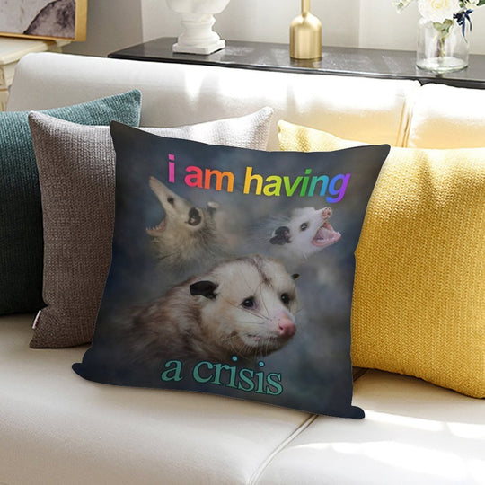 I Am Having A Crisis Possum Word Art Soft Bedroom Essential Throw Pillow