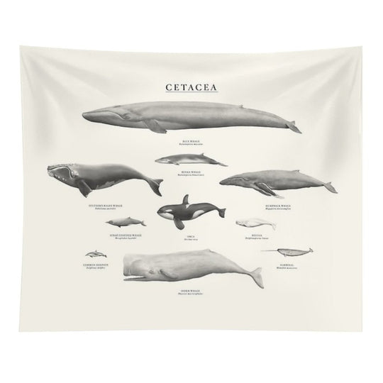 Cetacea Tapestry
