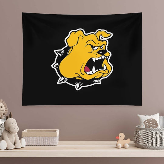 Texas Lutheran University Tapestry