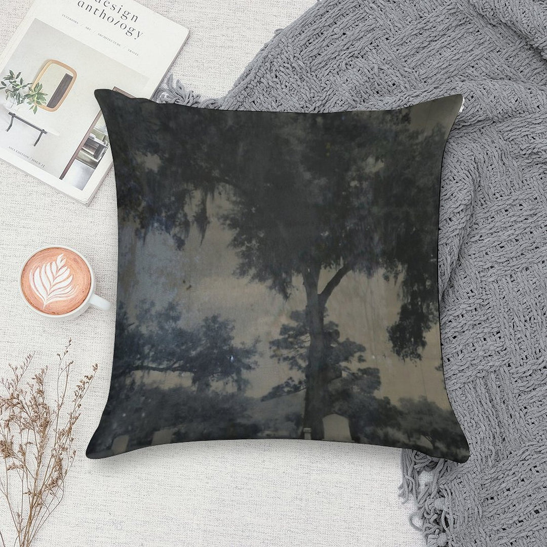 CASSADAGA TIN TYPE Soft Durable Construction Throw Pillow