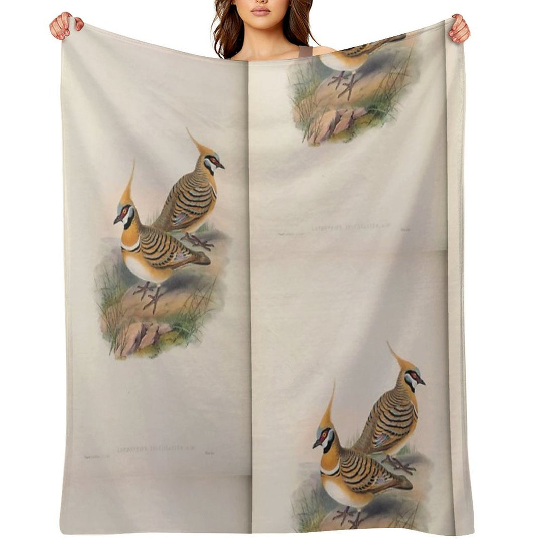 John Gould The Birds of Australia 1869 069 Lophophaps Leucogaster Compact Throw Blanket