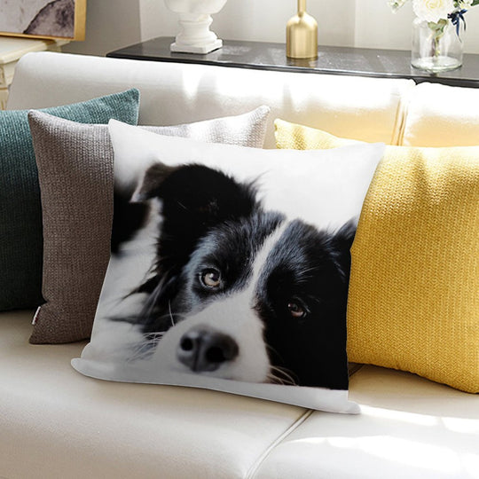 Border Collie Soft Short Plush Fabric Throw Pillow