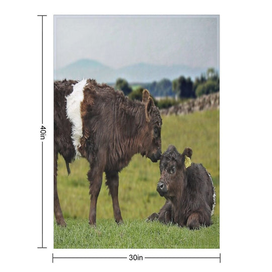 Belted Galloway Sustainable Throw Blanket