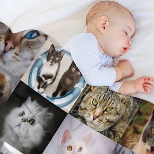 Cats Versatility Throw Blanket