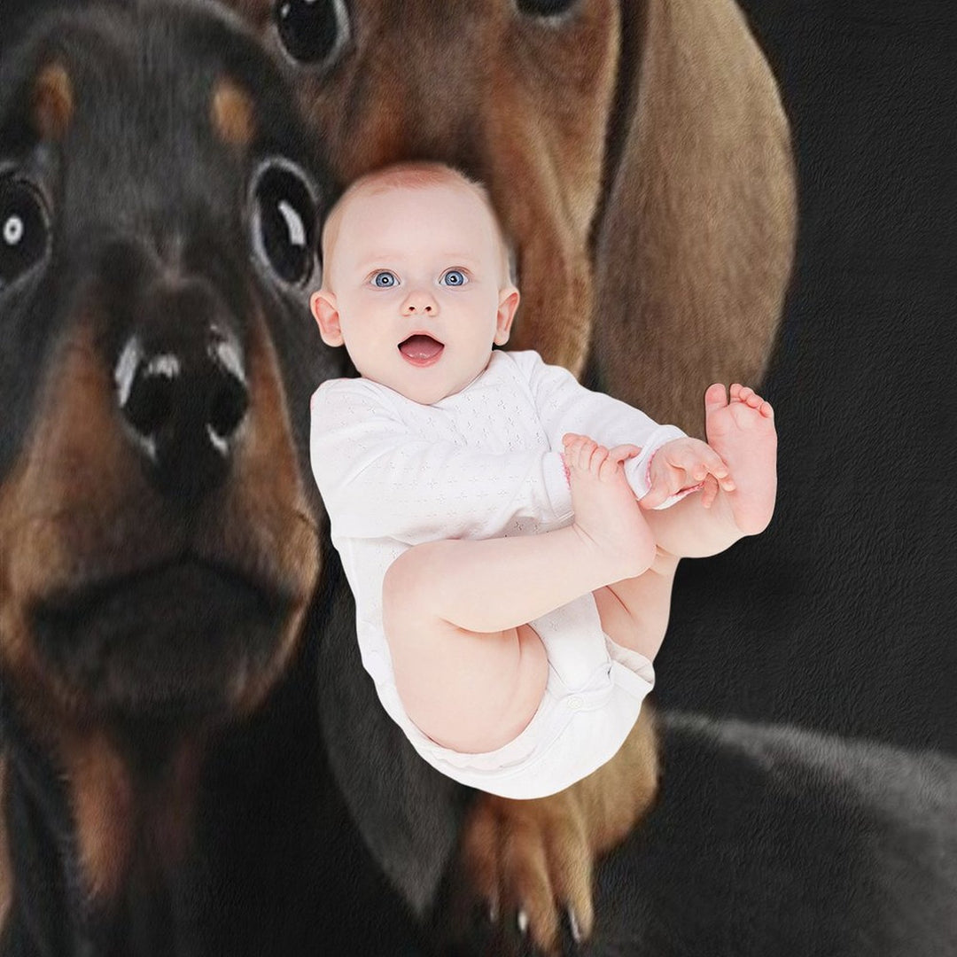 Dachshund Dog Portrait Photo Pupies Durable Throw Blanket