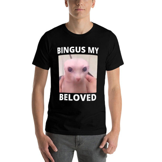 Bald Bingus My Beloved Hairless Sphinx Cat Bingus Cat Meme  Relaxed-fit T-Shirt