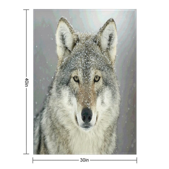 GREY WOLF Anti-pilling Throw Blanket