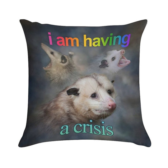 I Am Having A Crisis Possum Word Art Soft Bedroom Essential Throw Pillow