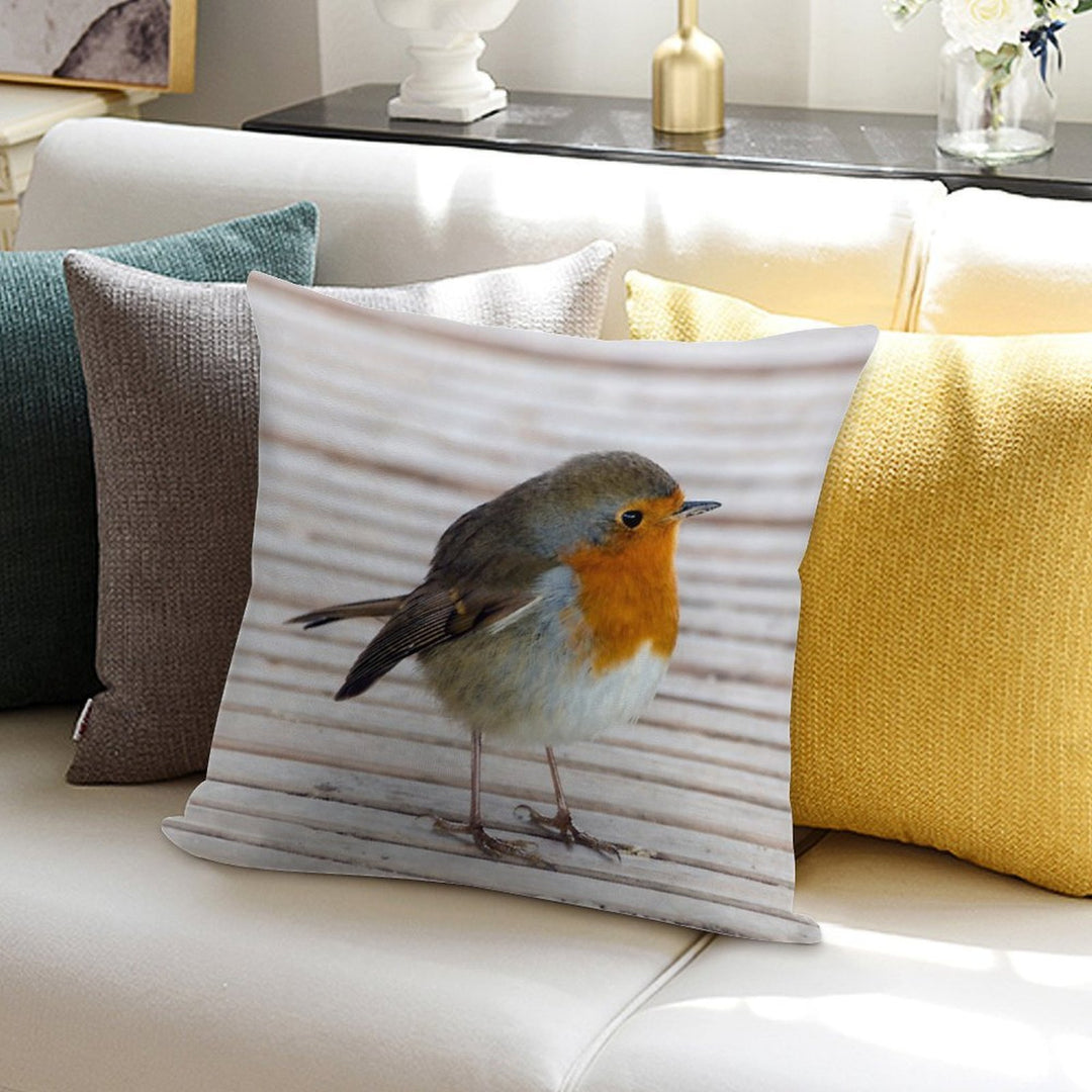 Robin Soft Fade-Resistant Throw Pillow