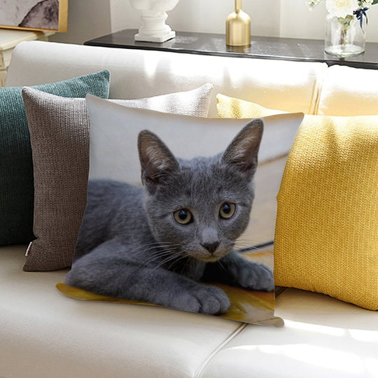 Russian Blue Cat - Cute Kitten Photo Soft Shrink-Resistant Throw Pillow